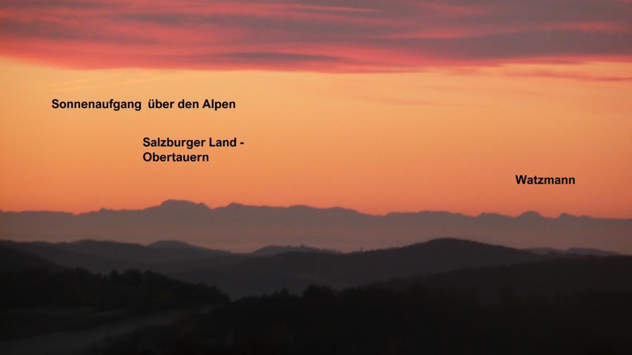 Ferienwohnungen Alpenblick Mit Garten -Panoramasauna- Kirchdorf im Wald Exteriér fotografie
