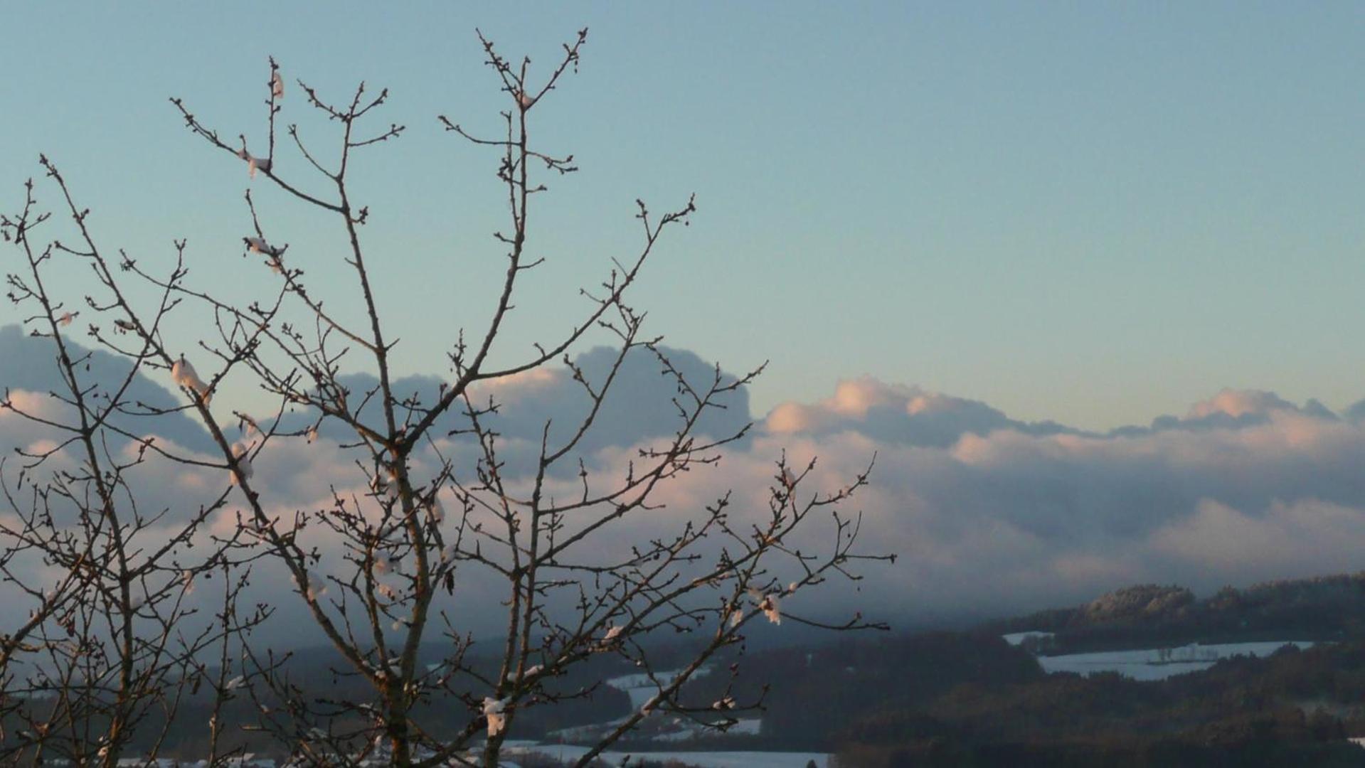 Ferienwohnungen Alpenblick Mit Garten -Panoramasauna- Kirchdorf im Wald Exteriér fotografie